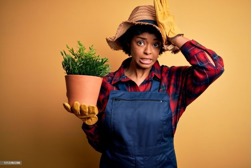 reset password illustration